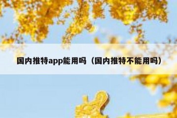 国内推特app能用吗（国内推特不能用吗）