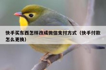 快手买东西怎样改成微信支付方式（快手付款怎么更换）