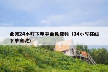 业务24小时下单平台免费领（24小时在线下单商城）