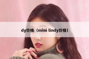 dy价格（mini lindy价格）