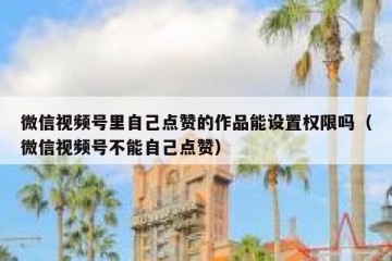 微信视频号里自己点赞的作品能设置权限吗（微信视频号不能自己点赞）