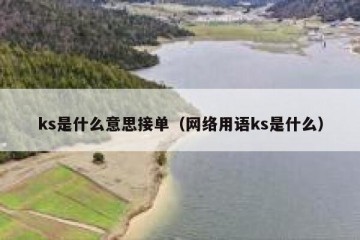 ks是什么意思接单（网络用语ks是什么）