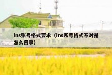 ins账号格式要求（ins账号格式不对是怎么回事）