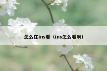 怎么在ins看（ins怎么看啊）