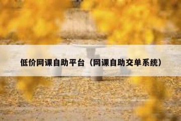 低价网课自助平台（网课自助交单系统）