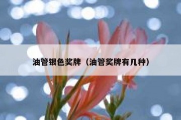 油管银色奖牌（油管奖牌有几种）