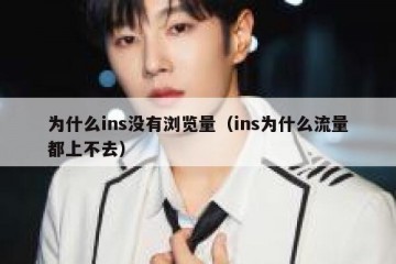 为什么ins没有浏览量（ins为什么流量都上不去）