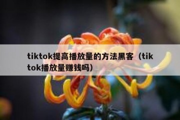 tiktok提高播放量的方法黑客（tiktok播放量赚钱吗）