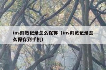 ins浏览记录怎么保存（ins浏览记录怎么保存到手机）