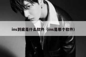ins到底是什么软件（ins是那个软件）