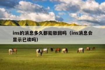 ins的消息多久都能撤回吗（ins消息会显示已读吗）
