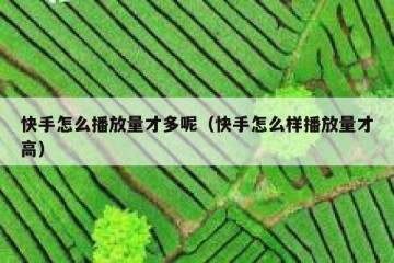 快手怎么播放量才多呢（快手怎么样播放量才高）
