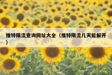 推特限流查询网址大全（推特限流几天能解开）
