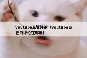 youtube点赞评论（youtube自己的评论在哪里）