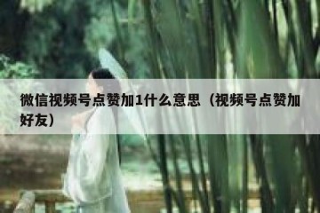 微信视频号点赞加1什么意思（视频号点赞加好友）
