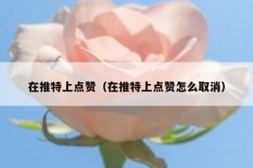 在推特上点赞（在推特上点赞怎么取消）
