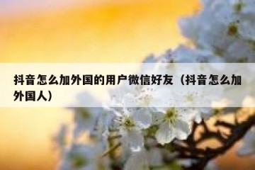 抖音怎么加外国的用户微信好友（抖音怎么加外国人）