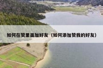 如何在赞里面加好友（如何添加赞我的好友）