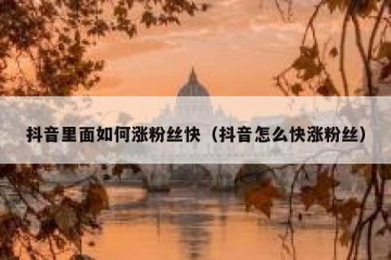 抖音里面如何涨粉丝快（抖音怎么快涨粉丝）