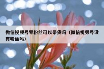 微信视频号零粉丝可以带货吗（微信视频号没有粉丝吗）