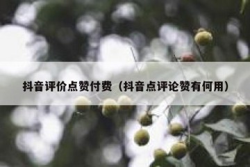 抖音评价点赞付费（抖音点评论赞有何用）
