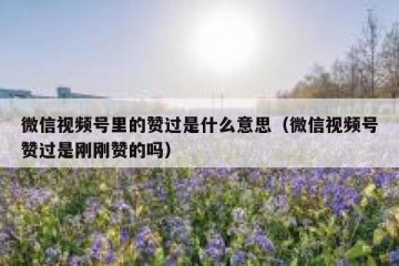 微信视频号里的赞过是什么意思（微信视频号赞过是刚刚赞的吗）