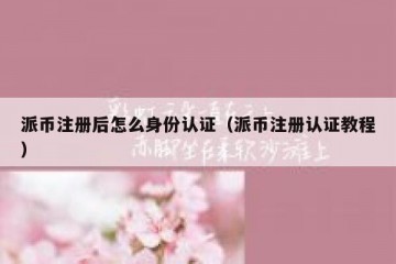 派币注册后怎么身份认证（派币注册认证教程）