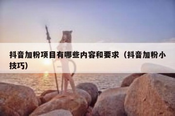 抖音加粉项目有哪些内容和要求（抖音加粉小技巧）