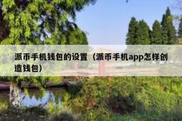 派币手机钱包的设置（派币手机app怎样创造钱包）