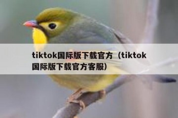 tiktok国际版下载官方（tiktok国际版下载官方客服）