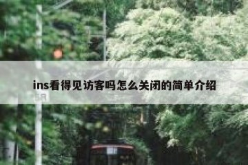ins看得见访客吗怎么关闭的简单介绍