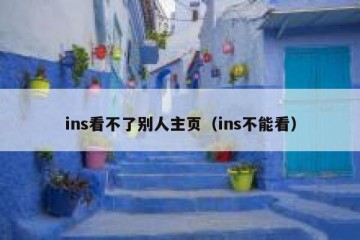 ins看不了别人主页（ins不能看）