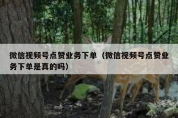 微信视频号点赞业务下单（微信视频号点赞业务下单是真的吗）
