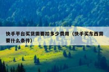 快手平台买货需要扣多少费用（快手买东西需要什么条件）