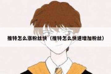 推特怎么涨粉丝快（推特怎么快速增加粉丝）