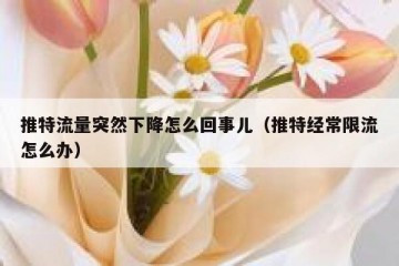 推特流量突然下降怎么回事儿（推特经常限流怎么办）