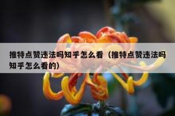 推特点赞违法吗知乎怎么看（推特点赞违法吗知乎怎么看的）