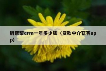 销帮帮crm一年多少钱（贷款中介获客app）