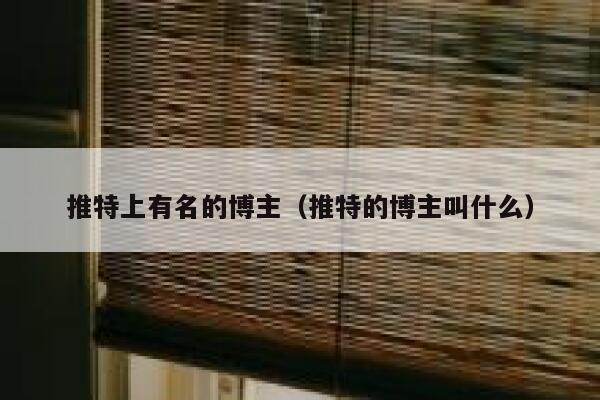 推特上有名的博主(推特的博主叫什么) 第1张 推特上有名的博主(推特的博主叫什么) 第1张