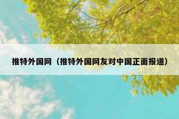 推特外国网（推特外国网友对中国正面报道） 第1张