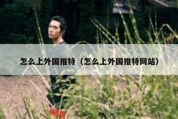 怎么上外国推特（怎么上外国推特网站） 第1张