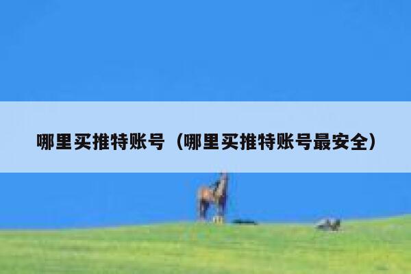 哪里买推特账号（哪里买推特账号最安全） 第1张