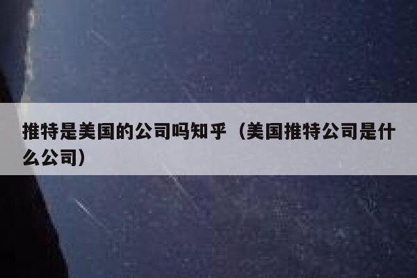 推特是美国的公司吗知乎（美国推特公司是什么公司） 第1张