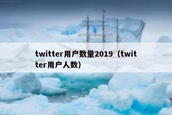 twitter用户数量2019（twitter用户人数） 第1张