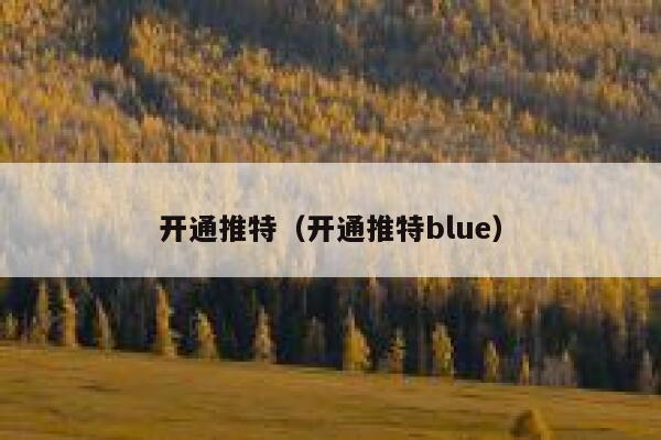 开通推特(开通推特blue) 第1张 开通推特(开通推特blue) 第1张