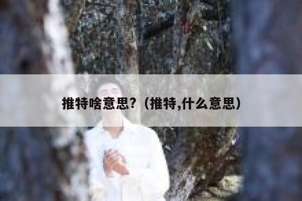 推特啥意思?(推特,什么意思) 第1张 推特啥意思?(推特,什么意思) 第1张