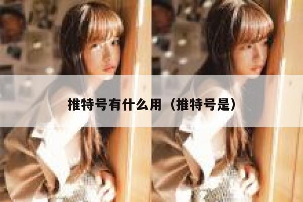 推特号有什么用（推特号是） 第1张