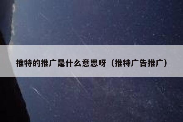 推特的推广是什么意思呀(推特广告推广) 第1张 推特的推广是什么意思呀(推特广告推广) 第1张