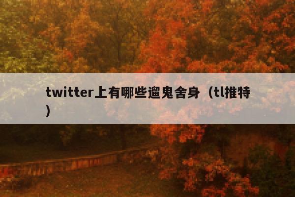 twitter上有哪些遛鬼舍身（tl推特） 第1张