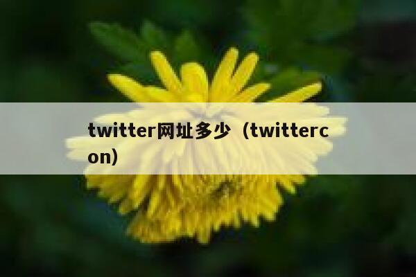 twitter网址多少（twittercon） 第1张